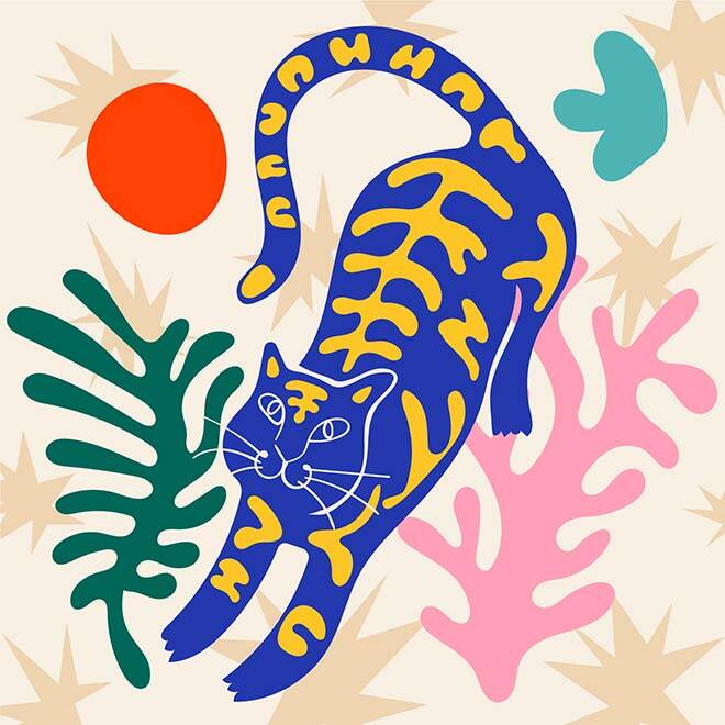 Matisse Style Illustration Acrylic Prints