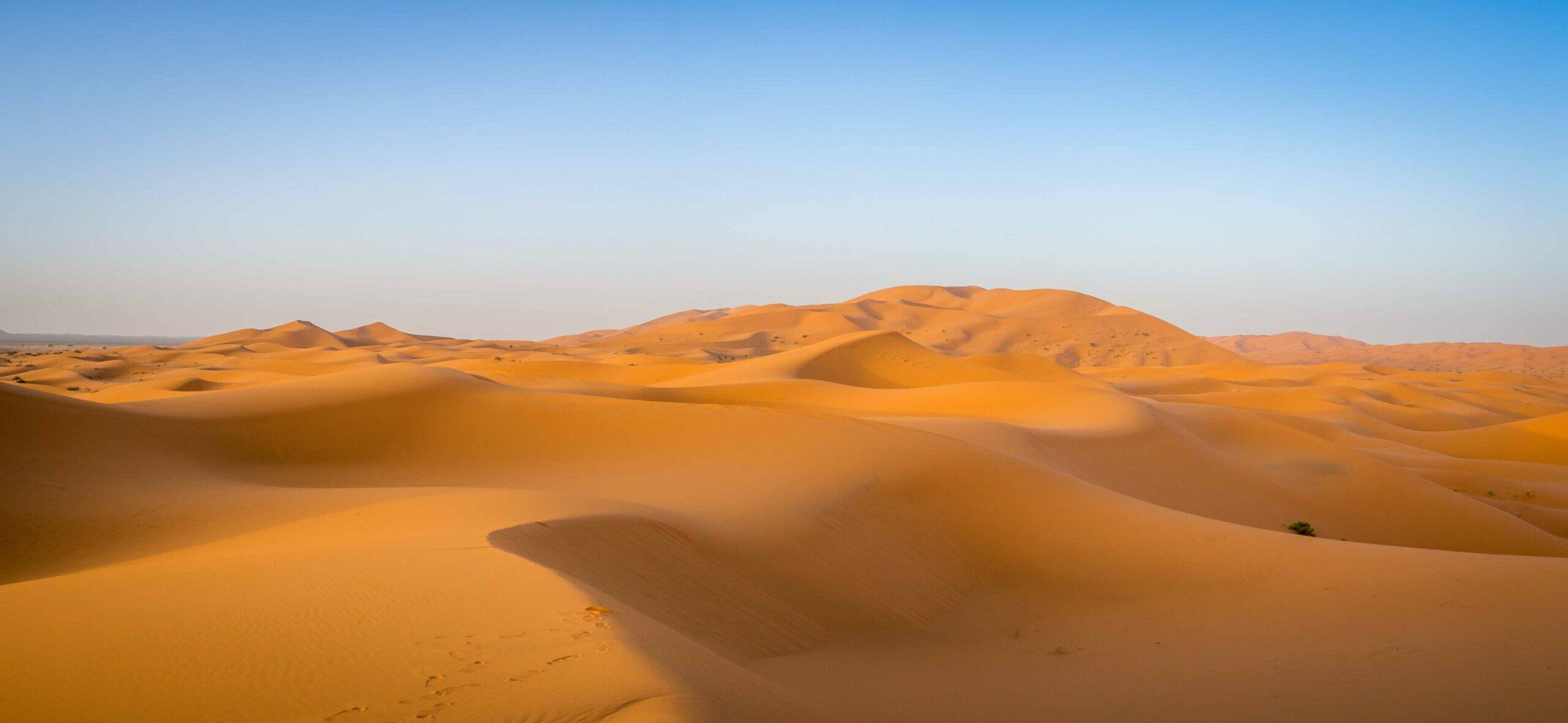 Sahara Desert