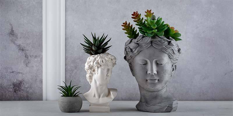 Indoor-Plants-and-Sculptures-800x400px Indoor-Plants-and-Sculptures-800x400px