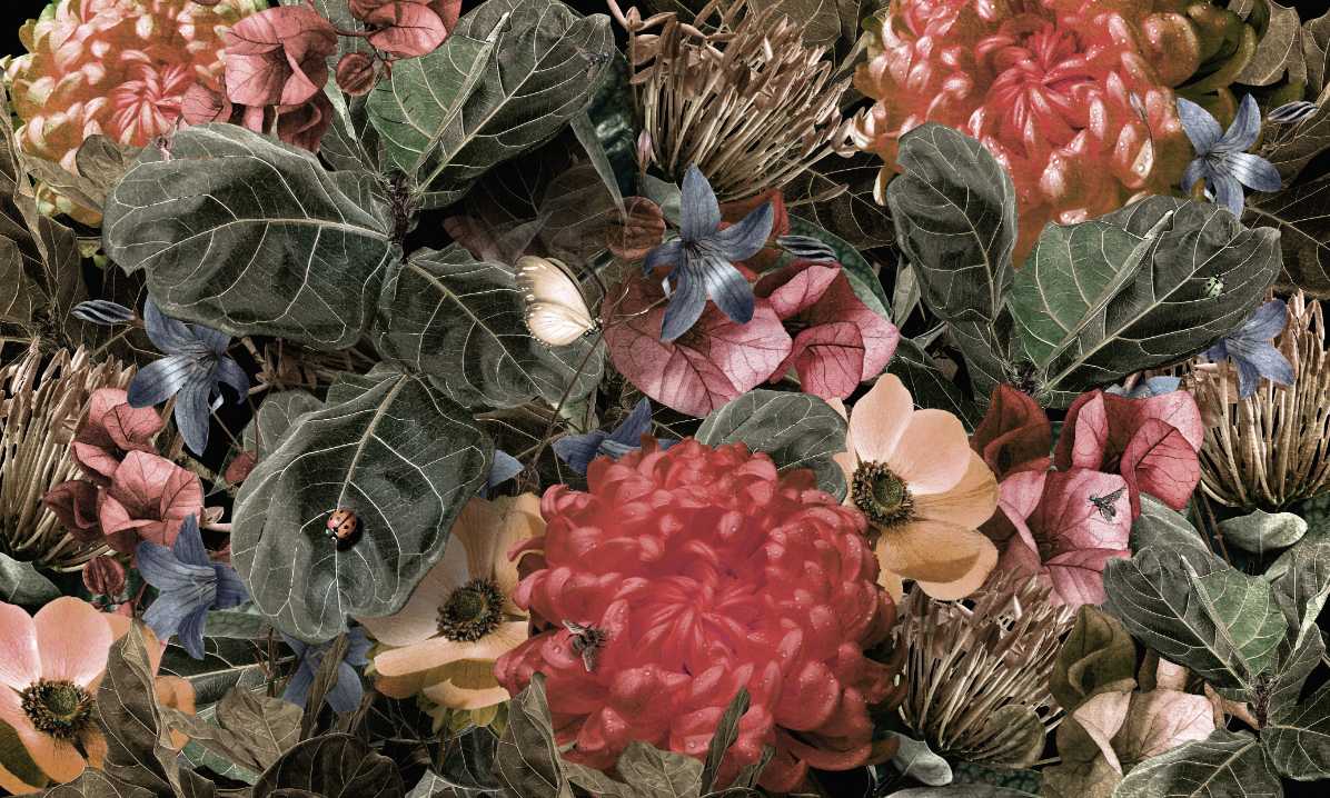 Flowers and Plants
