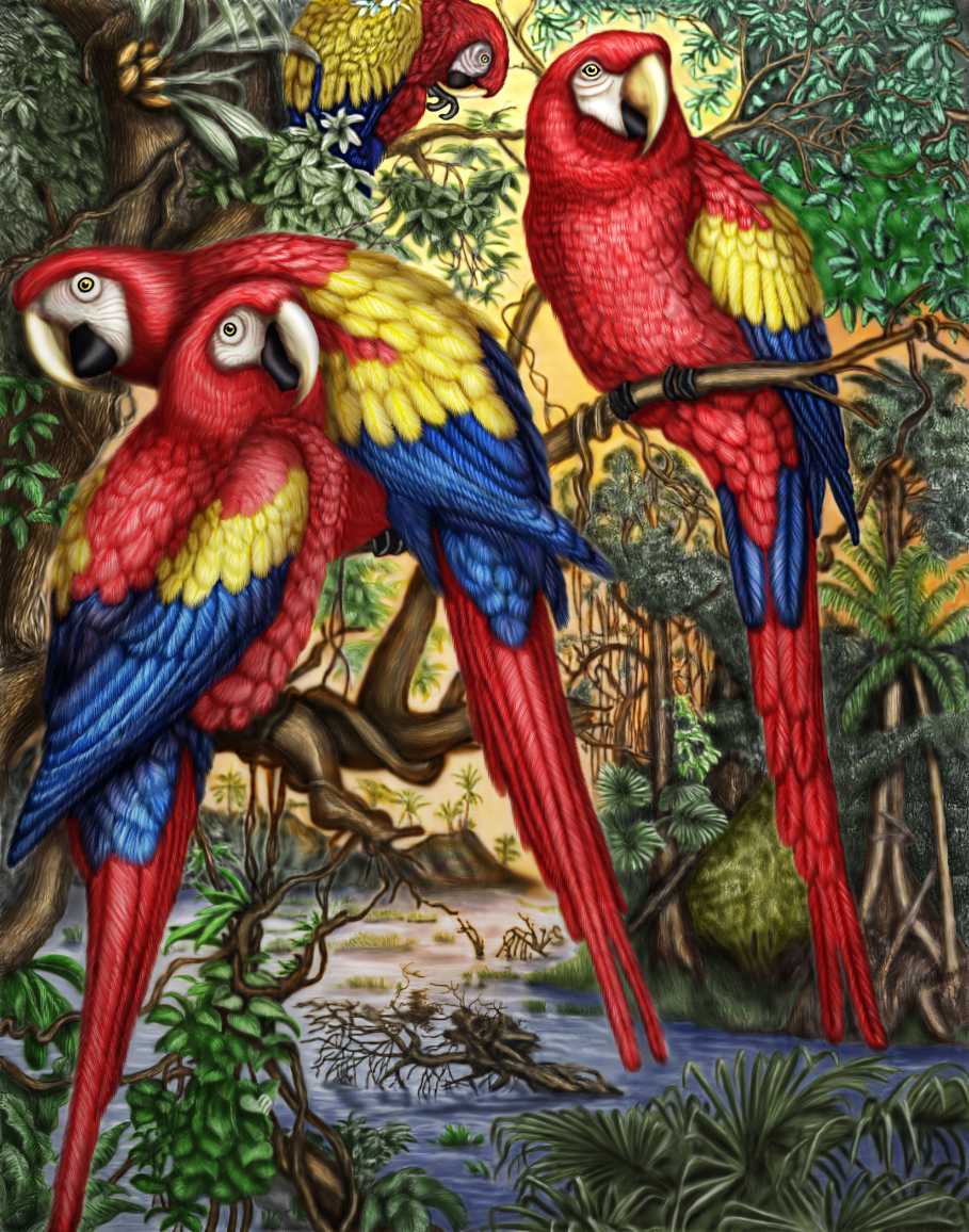 Birds 2