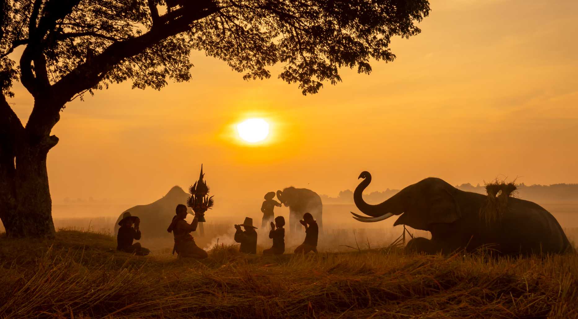 Thailand Countryside