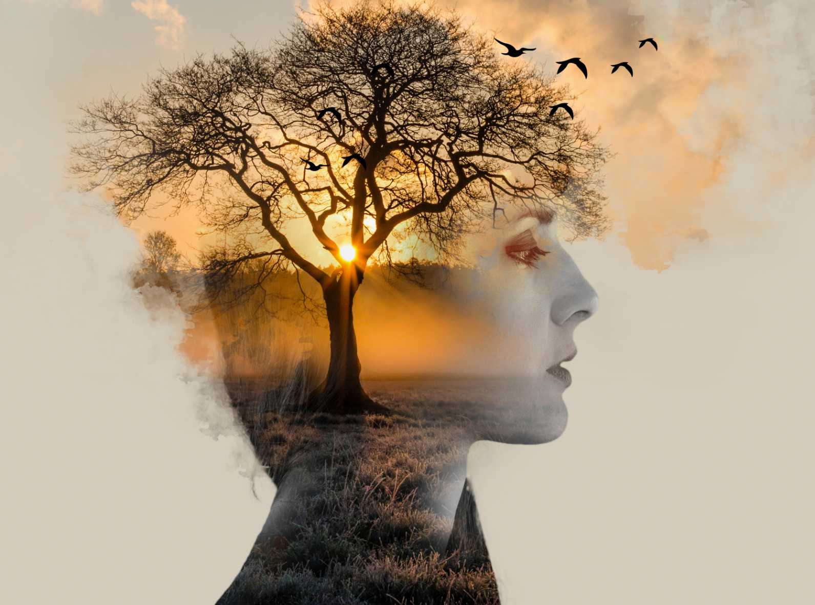 Tree With Birds