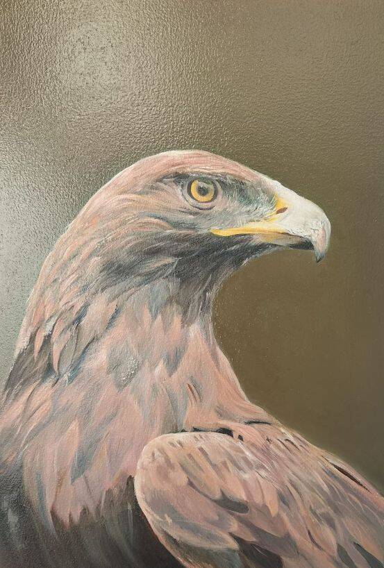 Falcon 3