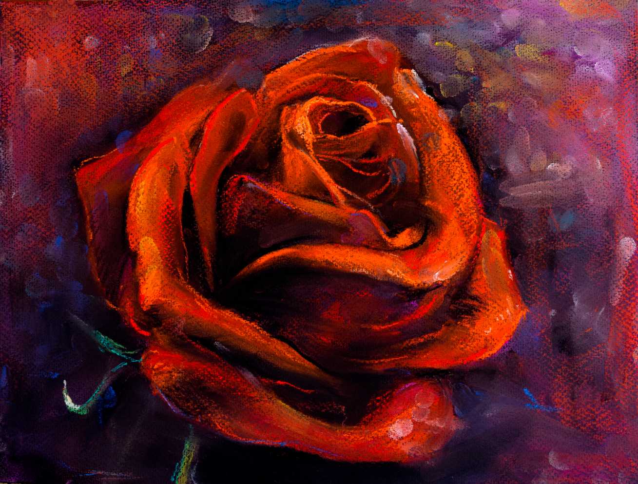 Red Rose