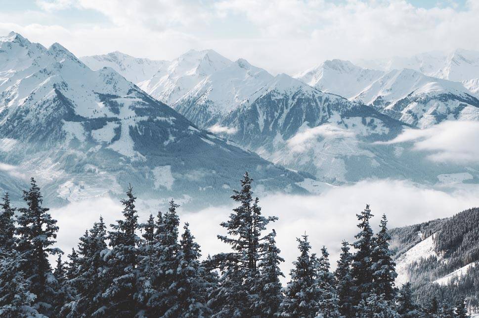 Beautiful Shot Mountains Trees Covered Snow Fog Glass Printing