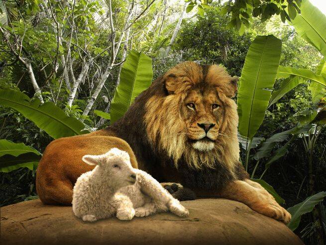 Lion and the Lamb