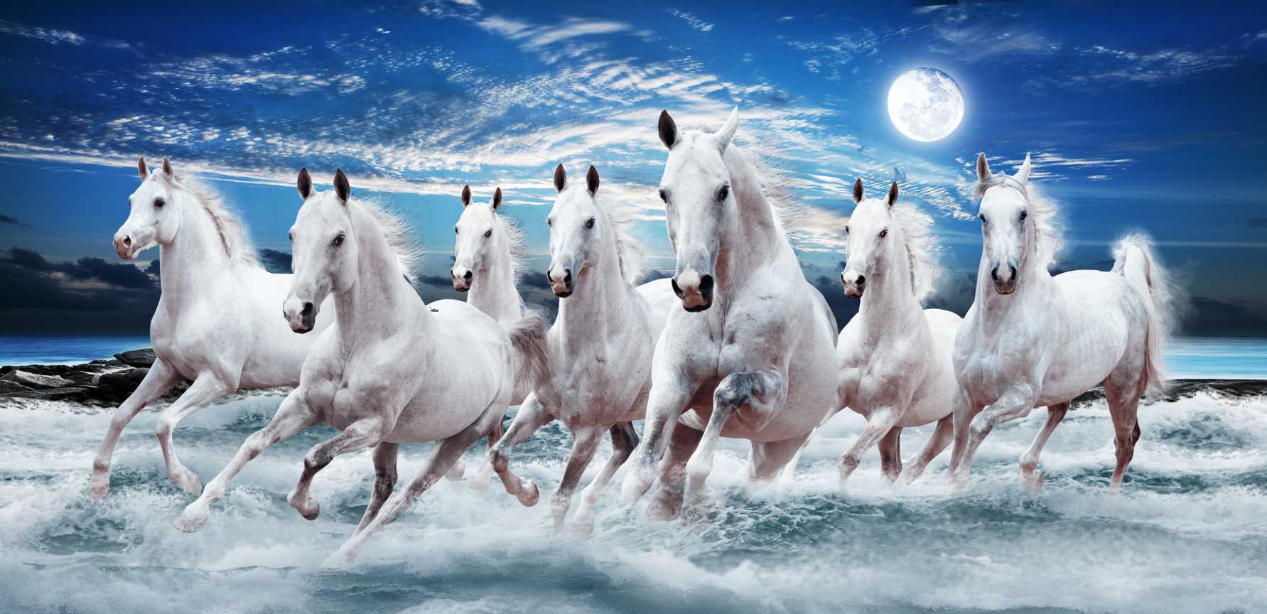 White Horses Running