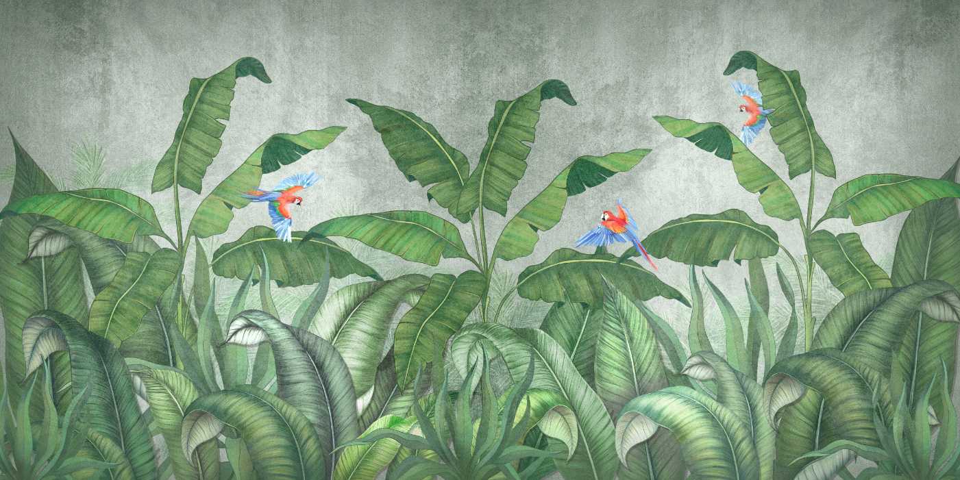 Parrots in Jungle