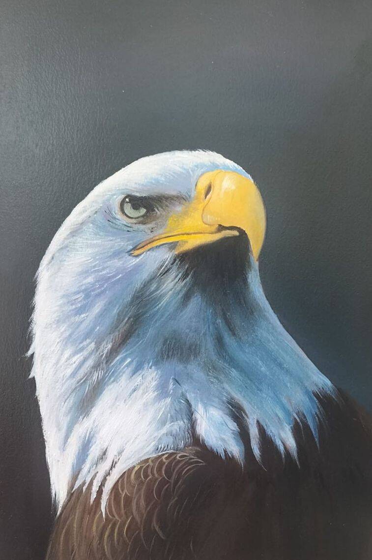 Falcon 1