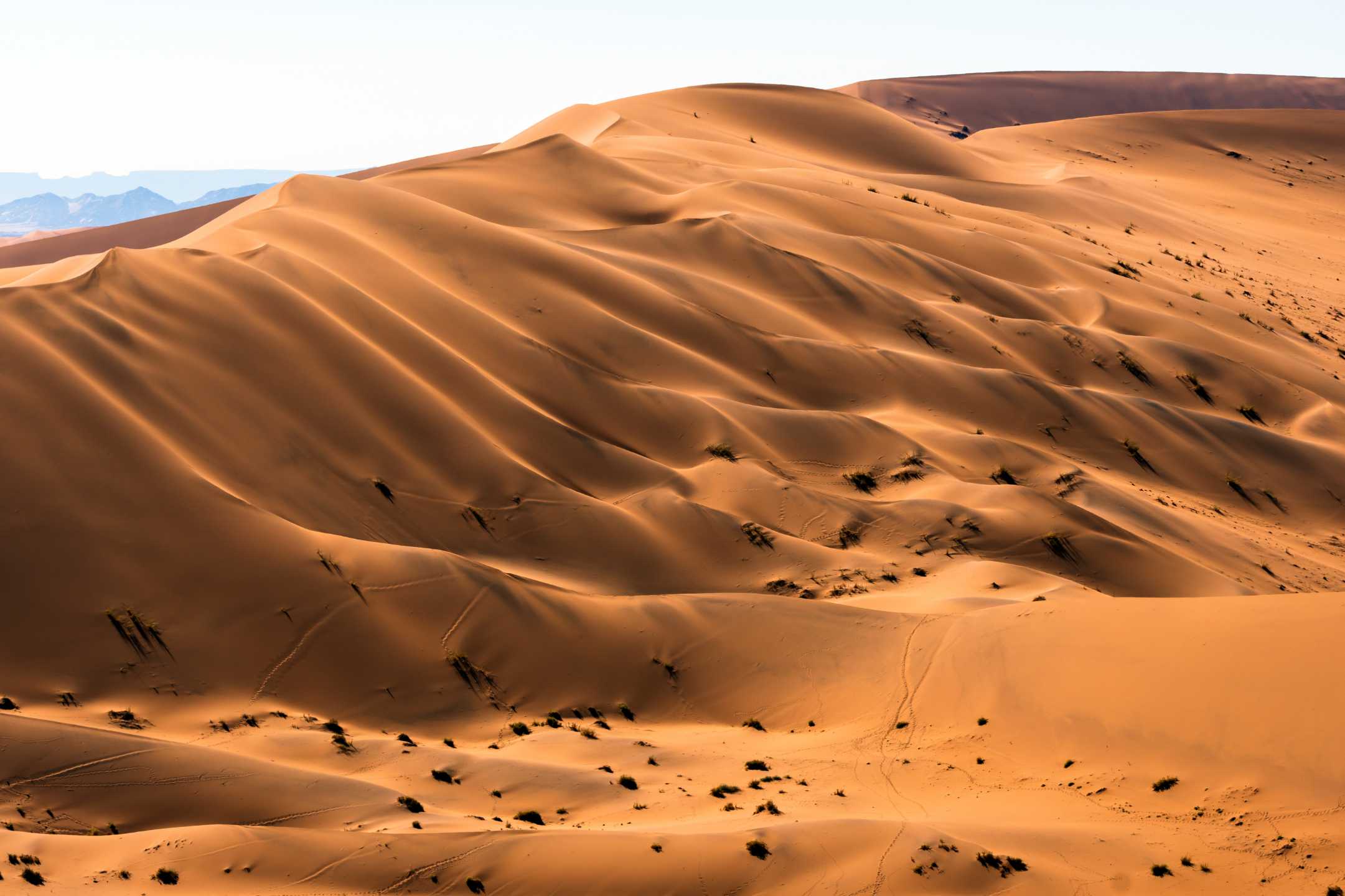 Beautiful Desert Landscape