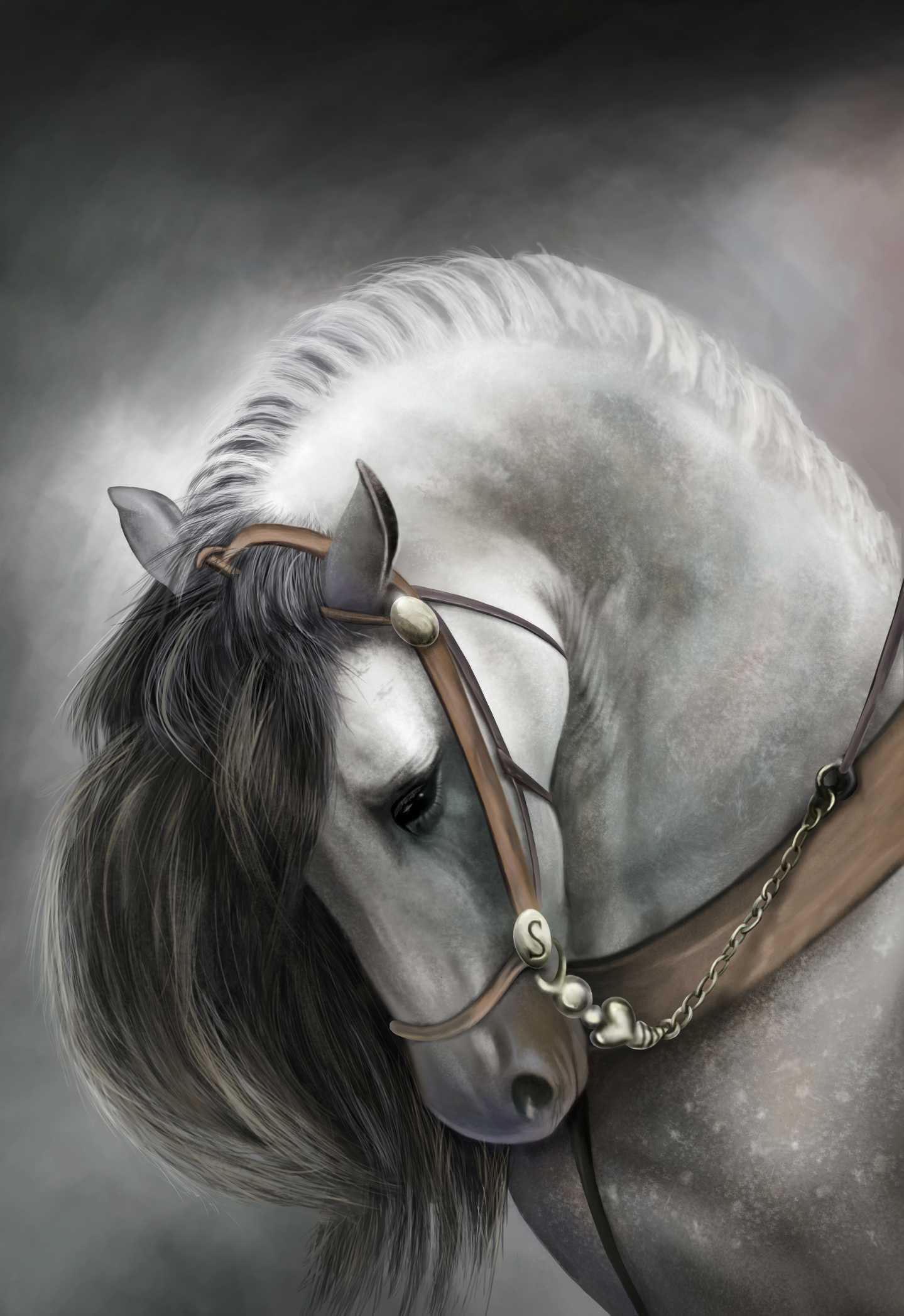 White Horse