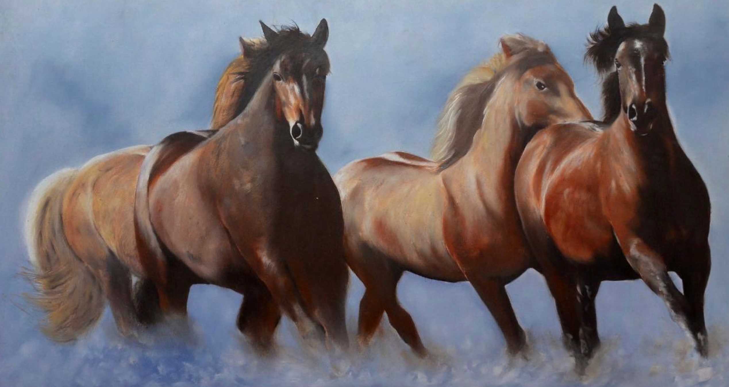 Horses