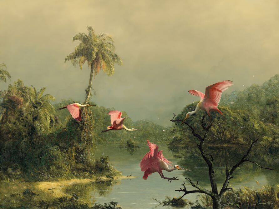 Spoonbills in the Mist