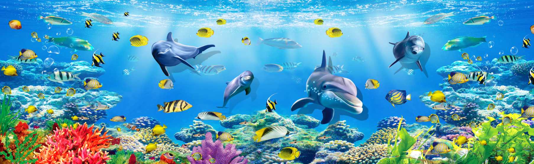 Underwater Scenery