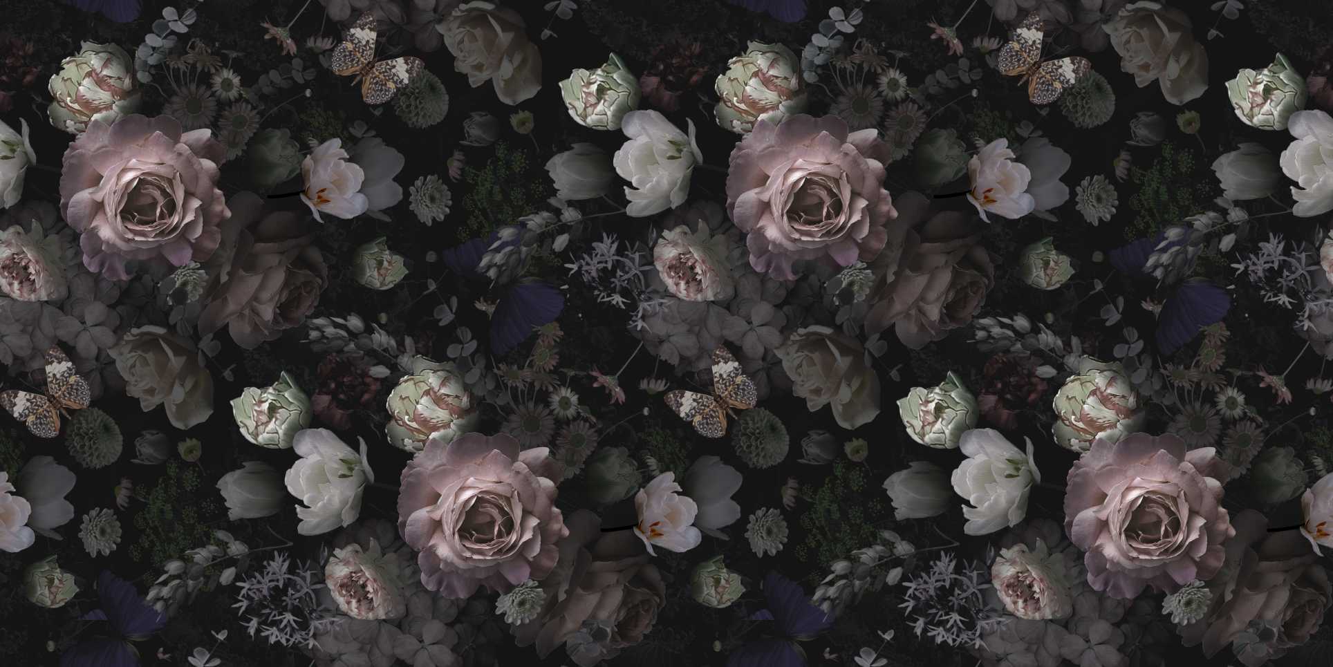 Beautiful Blooming Roses