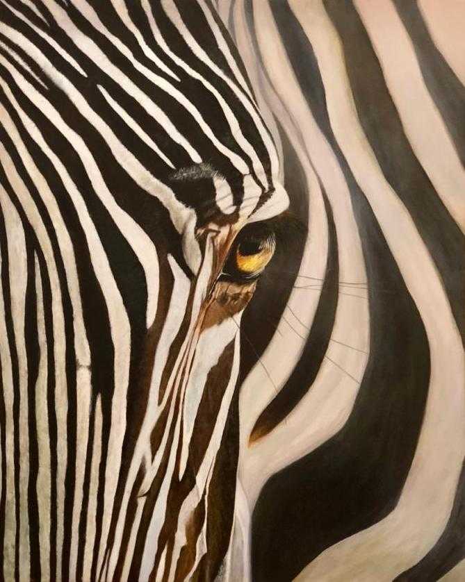 Zebra